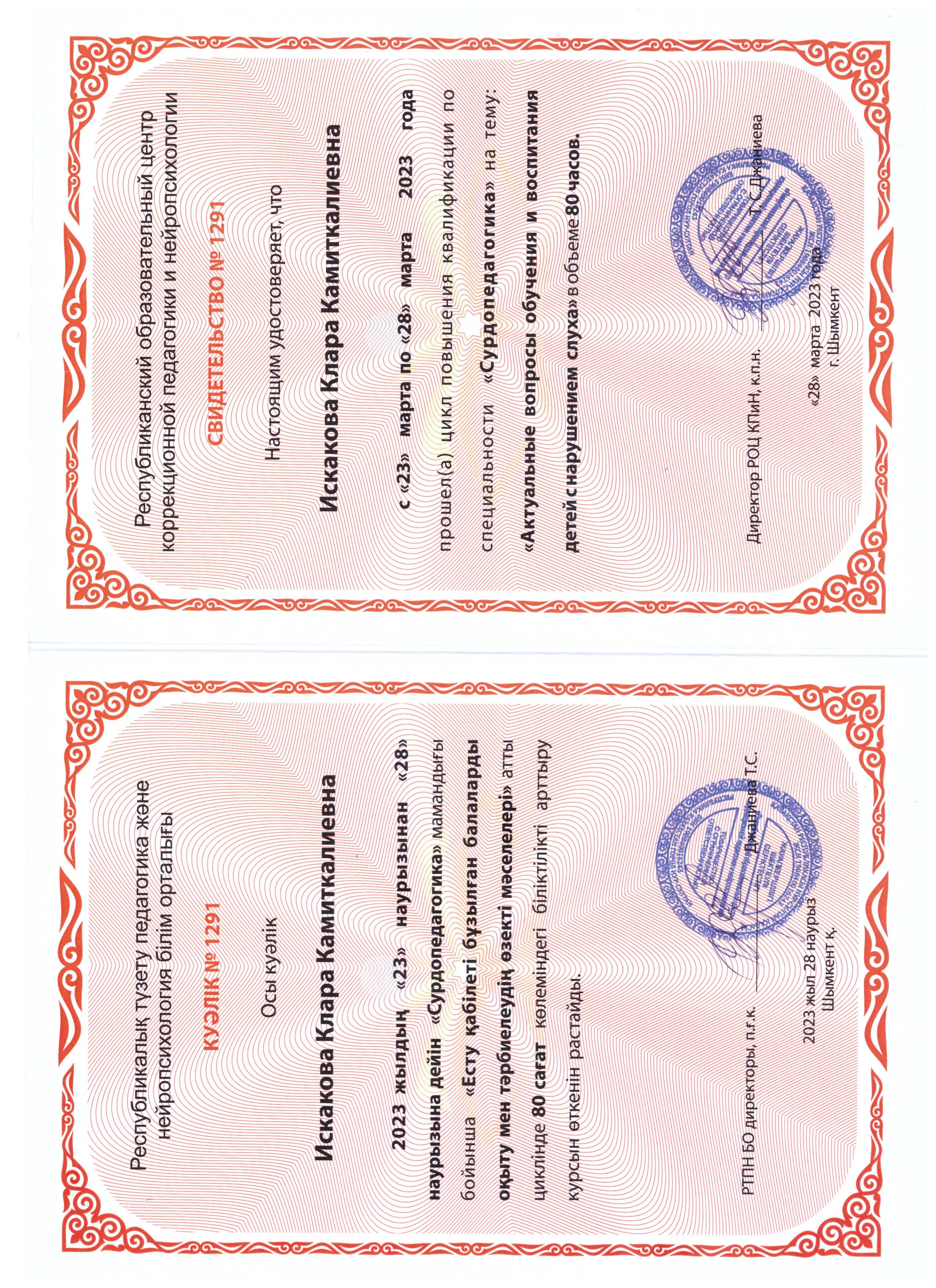 Достижение 1